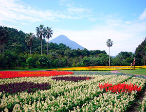 世界中の植物を楽しめる