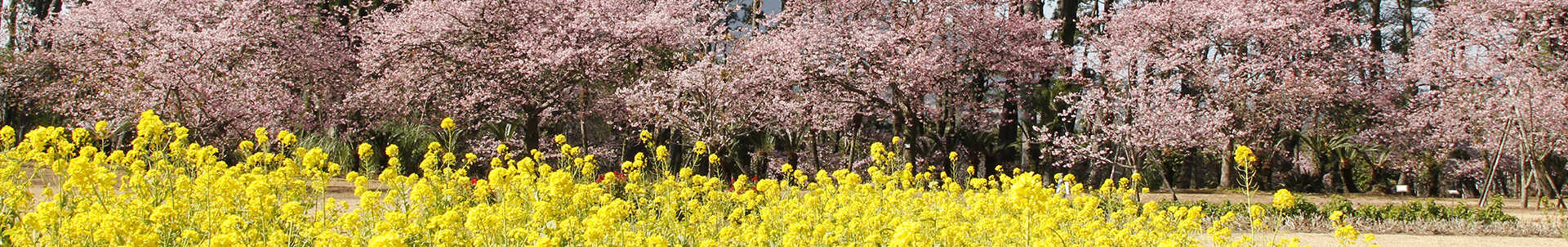 芝生広場