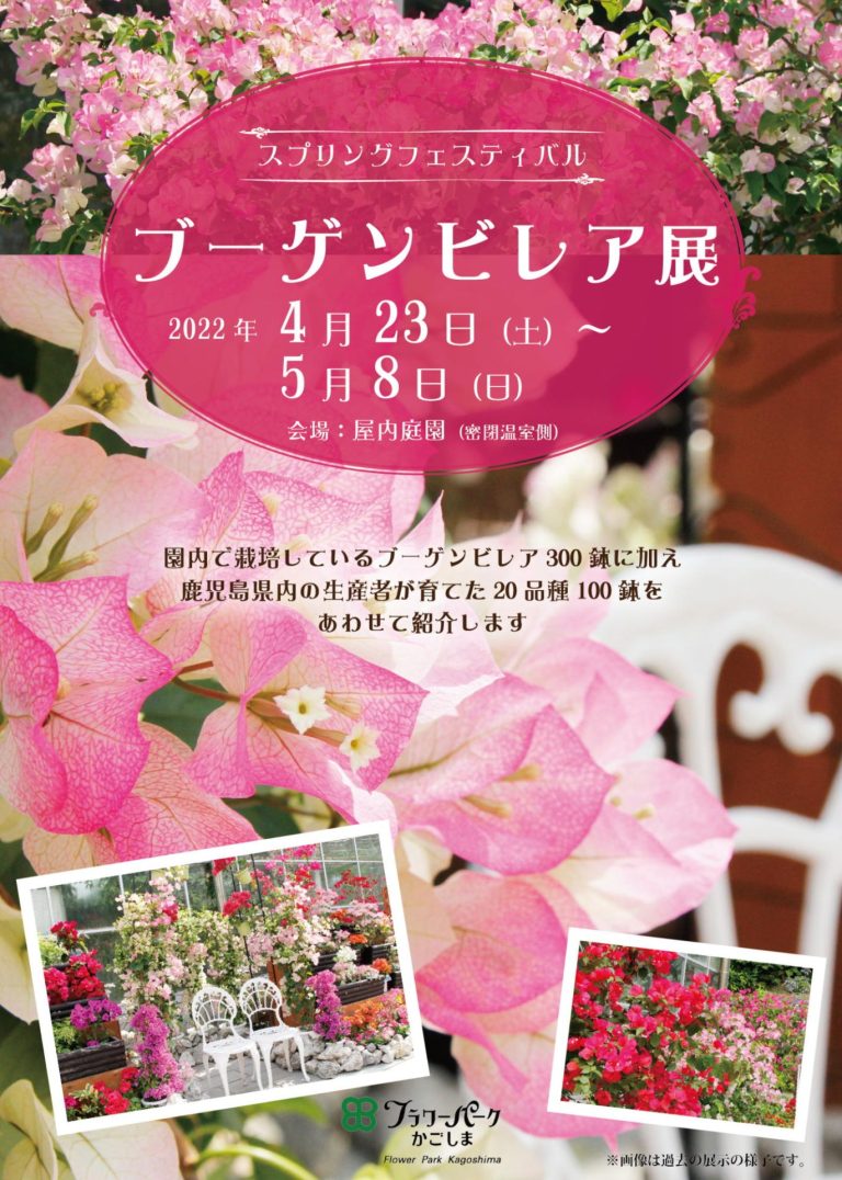 ブーゲンビレア展