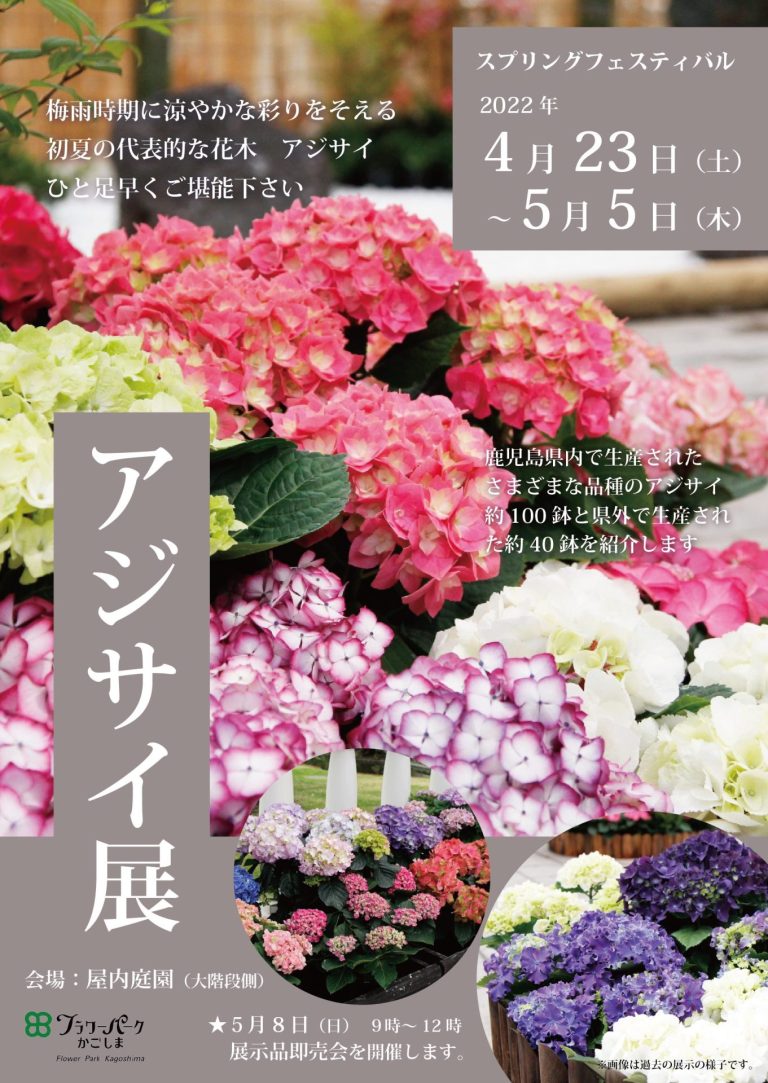 アジサイ展