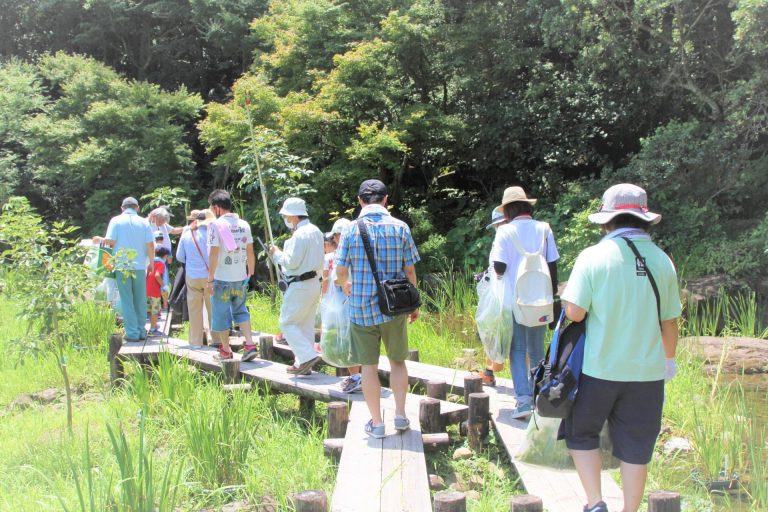 夏休み特別企画　「植物観察と標本作り」