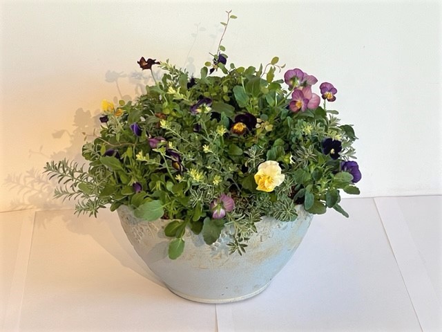 カルチャー教室「ギャザリング寄せ植え」