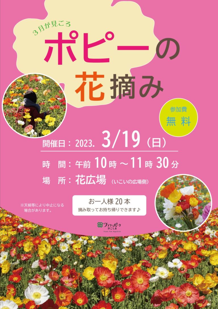 ポピーの花摘み